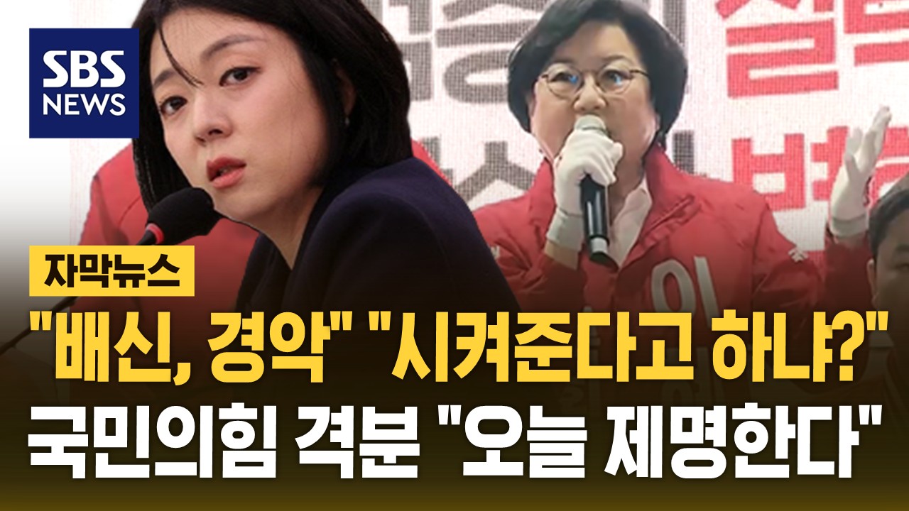 [자막뉴스]  “배신, 경악” “시켜준다고 하냐?” 이재명 정부 장관 지명된 이혜훈…”오늘 제명한다” 국민의힘 격분