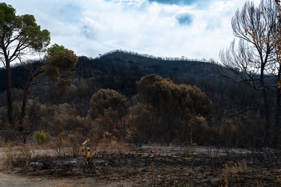 Devastating European wildfires in maps – and how they’re being tackled