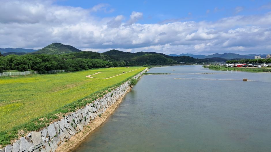 경북 상주시 낙동강 변에서 50대 남성 숨진 채 발견