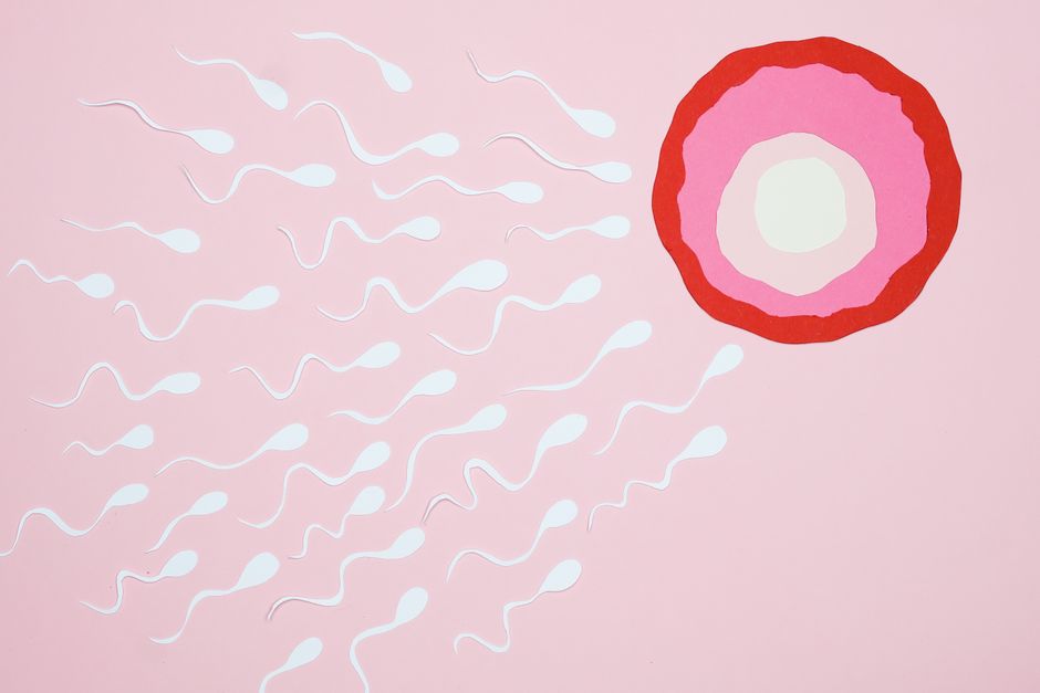 IVF staff accused of misleading UK parents about sperm and egg donors in northern Cyprus