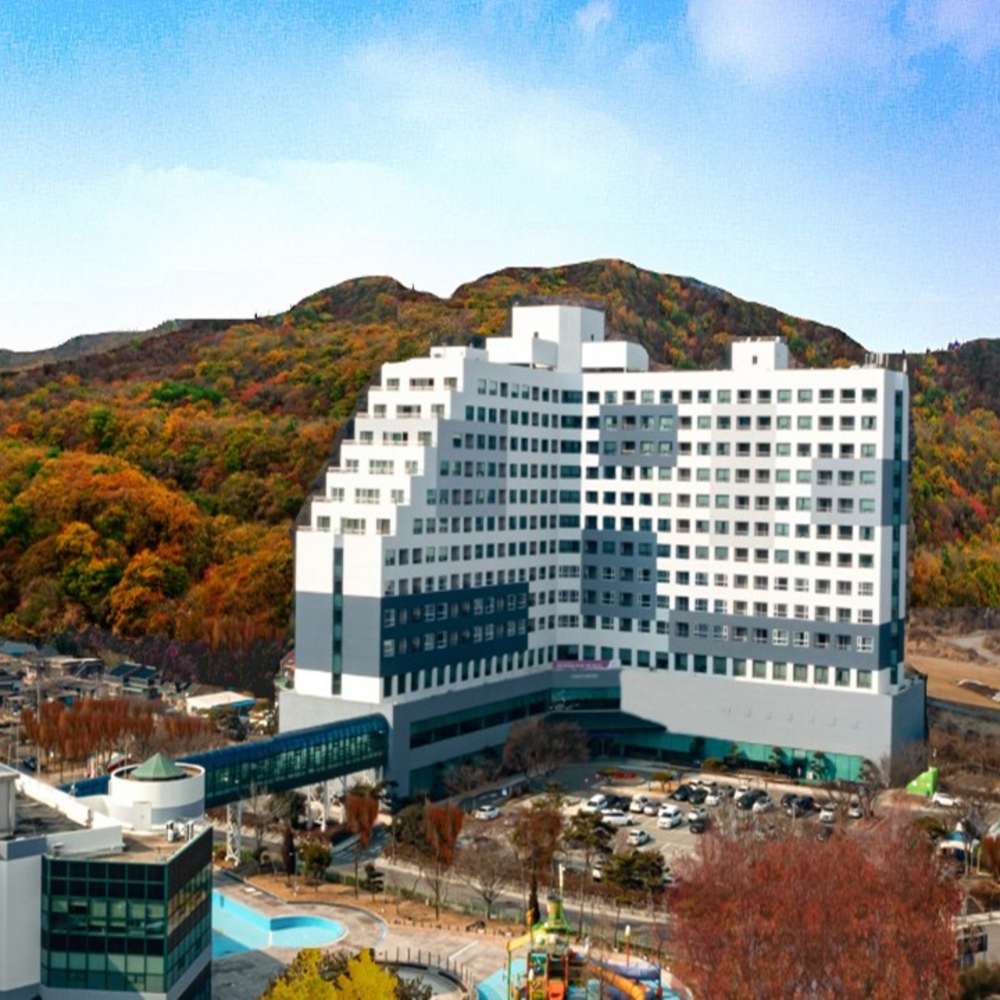 오늘만 이 가격! 패밀리 디럭스 특가